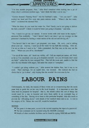 Labour Pains (ZX Spectrum) (missing tape) (Contains Hint Sheet)