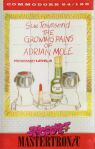 Growing Pains of Adrian Mole (Mastertronic) (C64)