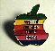 apple2reunion2004-pin