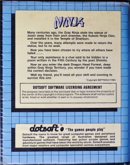 ninja-alt2-back