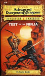 AD&amp;D Adventure Gamebook #5: Test of the Ninja