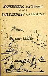wildernesscampaign